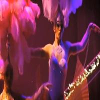 STAGE TUBE: West End PRISCILLA Wows Video